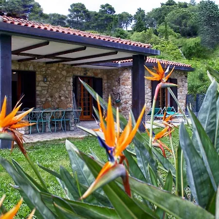 Pinna Nobilis Villa *